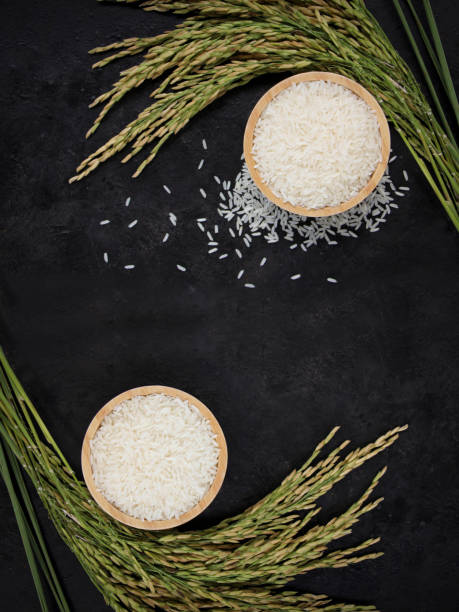 Thai Jasmine rice  (white rice) in wooden bowl and on dark background. Thai Jasmine rice  (white rice) in wooden bowl and on dark background. jasmine rice stock pictures, royalty-free photos & images