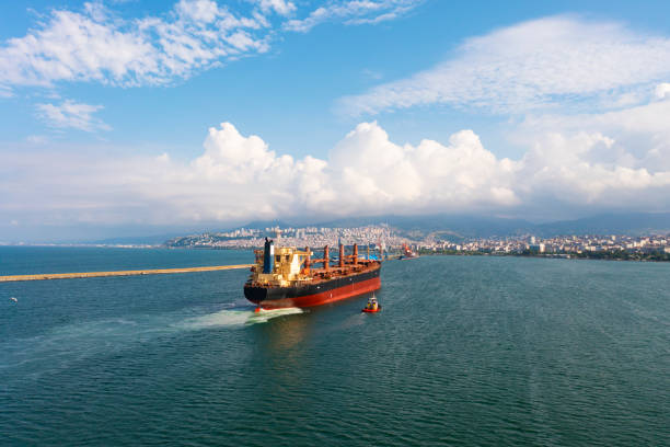 istock Aerial view of large bulk carrier approaching port. 1350555572