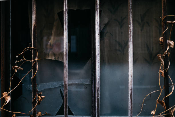 Broken window glass, torn curtains, fences entwined with ivy