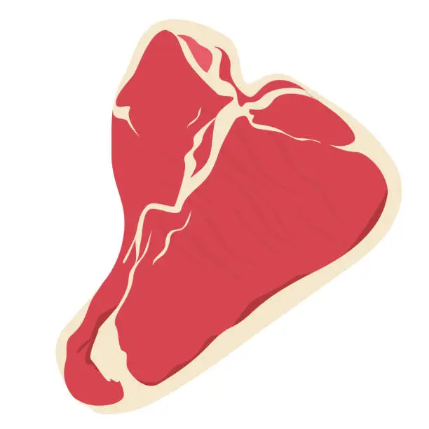 Vector illustration of T-bone steak vector isolated. Fresh raw meat