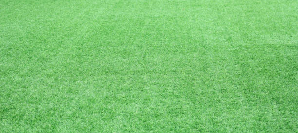 istock Green grass texture background. stadium grass landscape. 1350558148