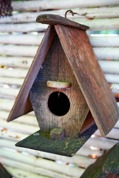 istock Bird Houses on a Stockade Fence 1350558273