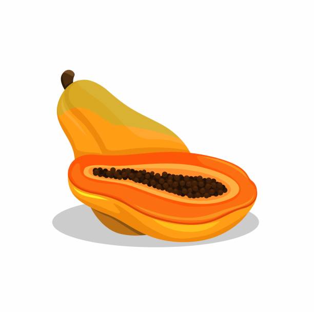 illustrations, cliparts, dessins animés et icônes de fruit de papaye. vecteur d’illustration du symbole des fruits frais tropicaux - papaye