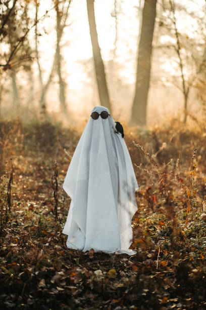 istock A ghost covered with a white ghostly leaf wearing a hat in the forest for Halloween. Halloween concept 1350563897