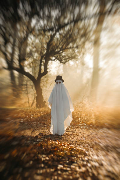 istock A ghost covered with a white ghostly leaf wearing a hat in the forest for Halloween. Halloween concept 1350563943