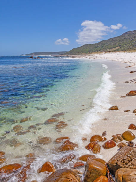 istock Coastal Landscape in Table Mountain National Park 1350565697
