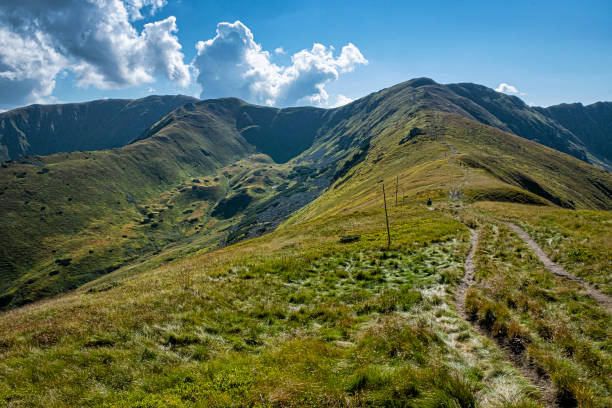istock Low Tatras mountain scenery, Slovakia 1350566279
