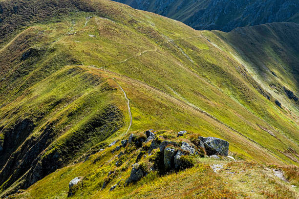 istock Low Tatras mountain scenery, Slovakia 1350566410