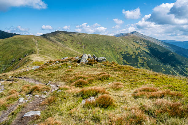 istock Low Tatras mountain scenery, Slovakia 1350566469