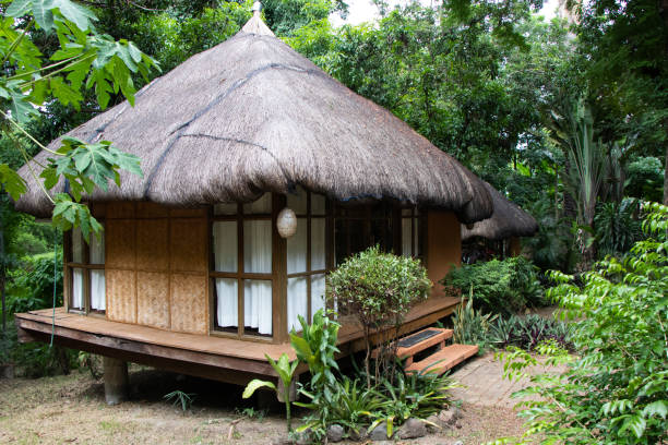 Traditional Hut in the Philippines stock photo