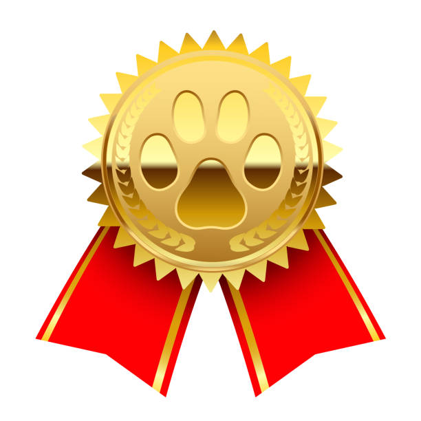 Gold Medal Gold Medal 1st Place Badge. Icon paw, Symbol of victory animal, medal with red ribbon isolated on white background. Vector illustration dog with ribbon stock illustrations