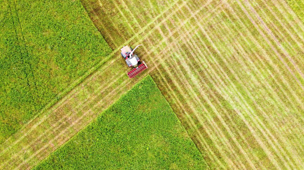 istock Top view of the fields. Harvesting with harvesters 1350582026