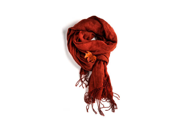 Brown knitted scarf with fringe isolated on a white background