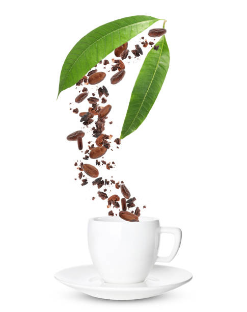 istock Cocoa beans and leaves falling into cup on white background 1350585258