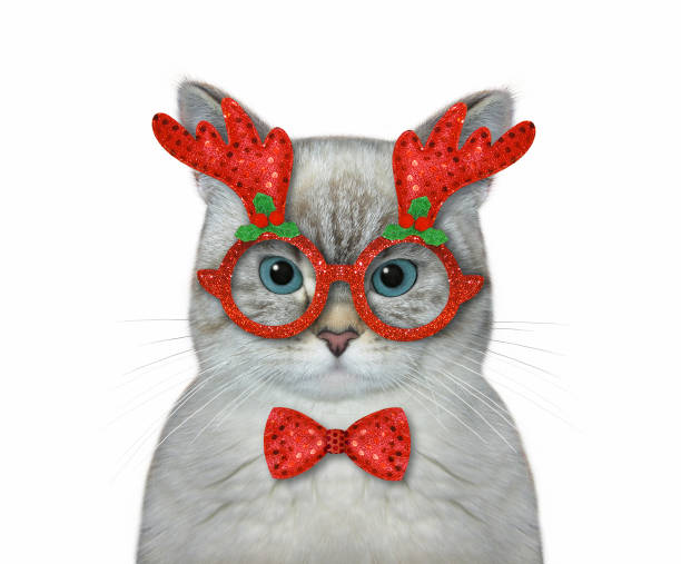 istock Cat ashen wears Christmas mask 3 1350586128