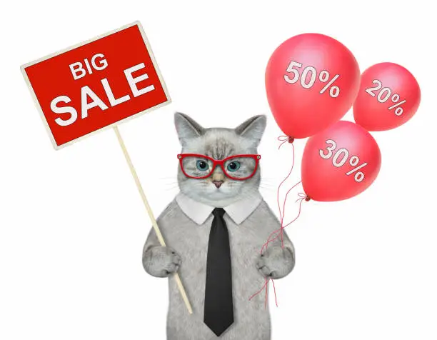 Photo of Cat ashen holds balloons and poster big sale