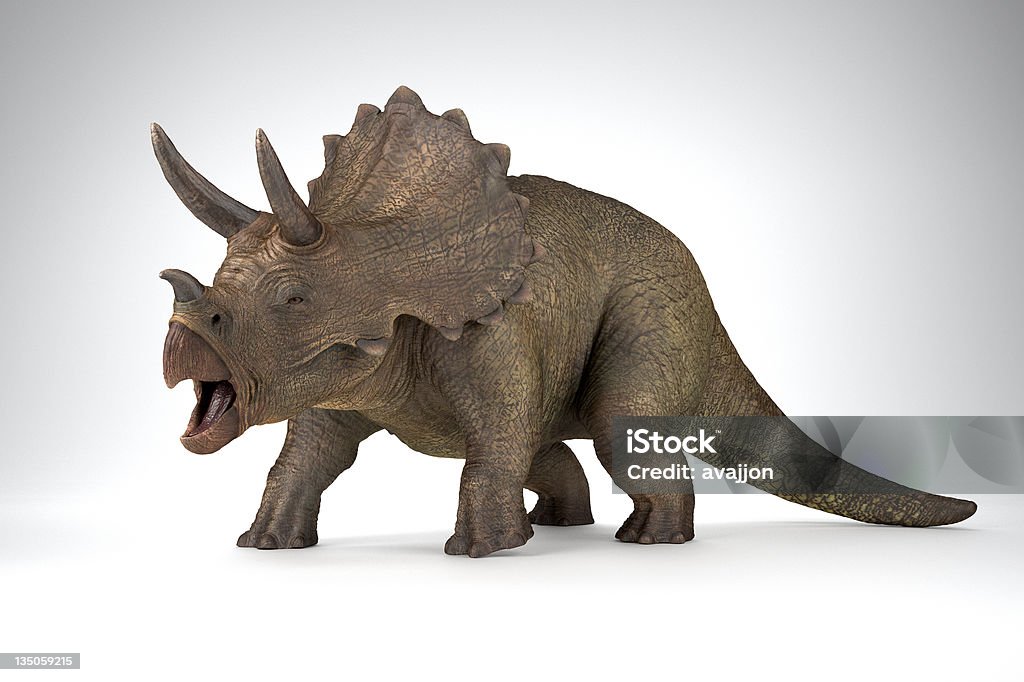 Triceratops - トリケラトプスのロイヤリティフリーストックフォト