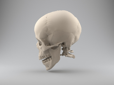 Skeleton Head. Human skull. Skull from four sides