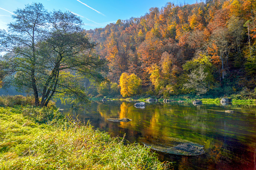 La lluvia es un afluente del Danubio y fluye a través del bosque bávaro, fotografiado en otoño. photo