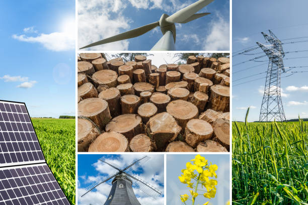 istock Renewable energies concept collage with solar panel, wind mills, woods, raps and electrical energy infrastucture 1350594158