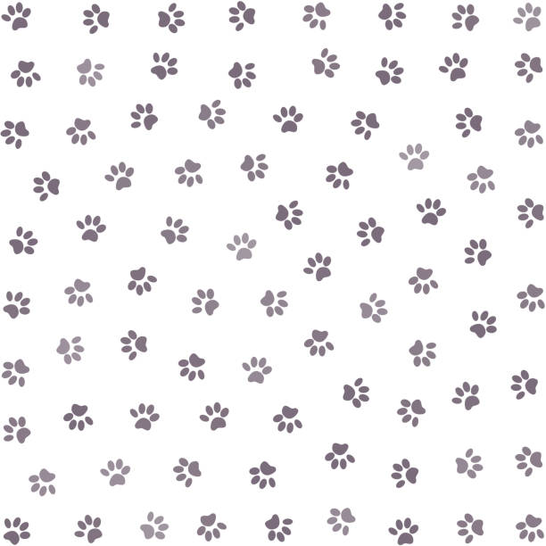 nahtloser hundefußabdruck, nahtloser katzenfußabdruck, nahtloser tierpfotenabdruck. - paw print stock-grafiken, -clipart, -cartoons und -symbole