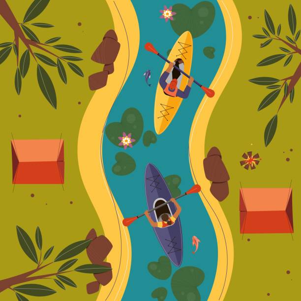 люди занимаются спортом на байдарках на реке. место для кемпинга вид сверху. векторная иллюстрация. - rowboat nautical vessel men cartoon stock illustrations