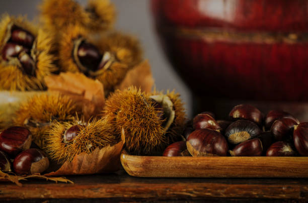 bodegón de castañas y frutos de castaña sobre mesa de madera sobre fondo negro - vanitas fotografías e imágenes de stock