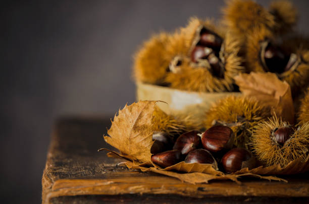 bodeg�ón de castañas y frutos de castaña sobre mesa de madera sobre fondo negro - vanitas fotografías e imágenes de stock