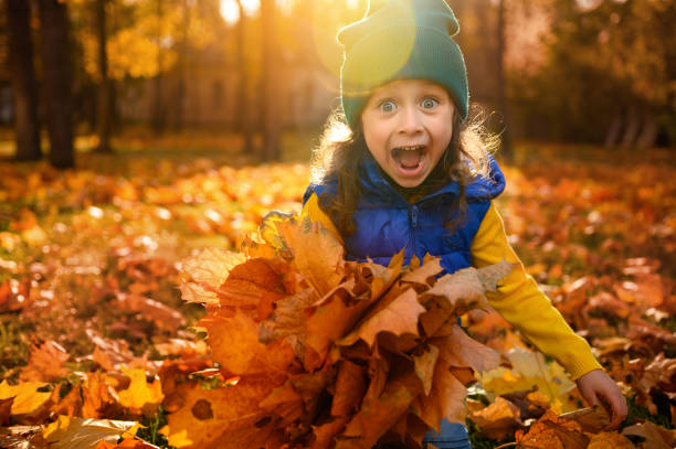 emotional lifestyle portrait of adorable cheerful baby girl in colorful clothes playing with dry fallen autumn maple leaves in golden park at sunset with beautiful sunbeams falling through trees - val stockfoto's en -beelden