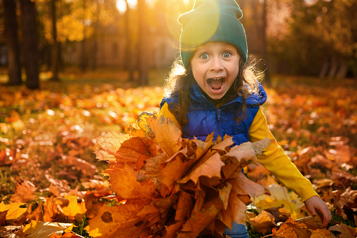 Emotional lifestyle portrait of adorable cheerful baby girl in colorful clothes playing with dry fallen autumn maple leaves in golden park at sunset with beautiful sunbeams falling through trees