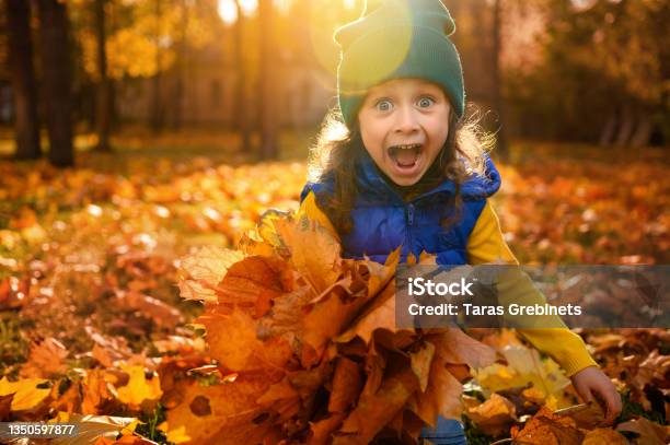 Emotional Lifestyle Portrait Of Adorable Cheerful Baby Girl In Colorful Clothes Playing With Dry Fallen Autumn Maple Leaves In Golden Park At Sunset With Beautiful Sunbeams Falling Through Trees Stock Photo - Download Image Now