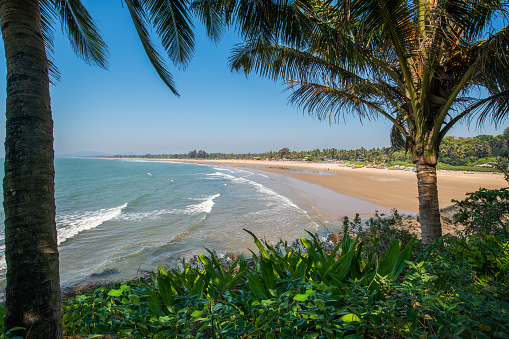 Idyllic view on  Main beach of Gokarna , South India. Palm trees and sand and gentle waves roll over the beach sand.  Fishing wooden boats on beach now.  a good sunny day on indian resort! and small points of people on beach.