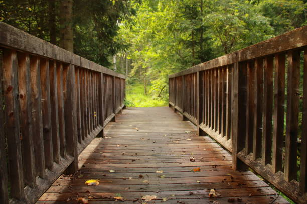 View through a wooden bridge