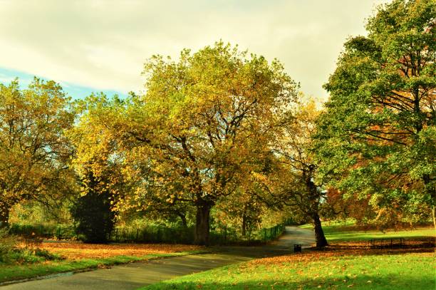 istock Autumn Landscape. 1350600639