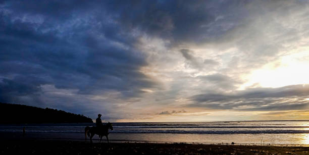 istock horse riding on the beach 1350602098