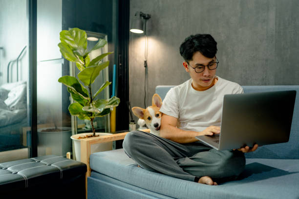 istock A busy freelancer is disturbed by his Corgi while working. 1350602107