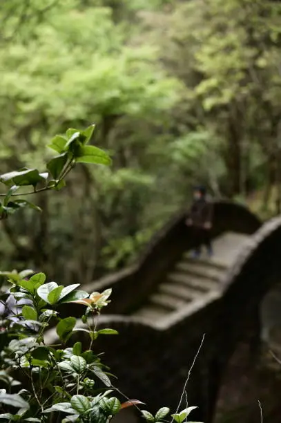 Xizhi, New Taipei City, Taiwan - February 28, 2021: Focus on the foreground leaves against the blurred background of the stone bridge in Gongbei Dian (aka Gongbei Temple).