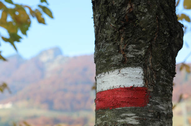 two red and white stripes on the tree to indicate the path in the high mountains