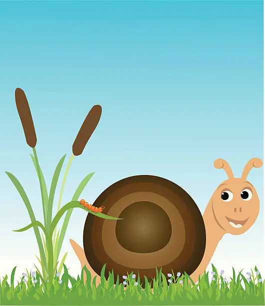 Vector illustration of Snail