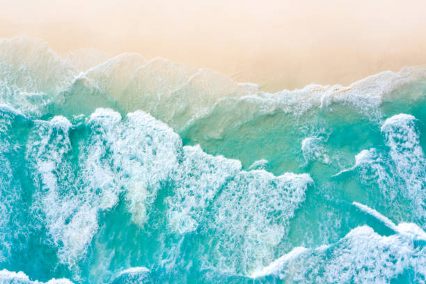 istock Blue ocean texture with waves and foam. La Digue Island, Seychelles. 1350617746