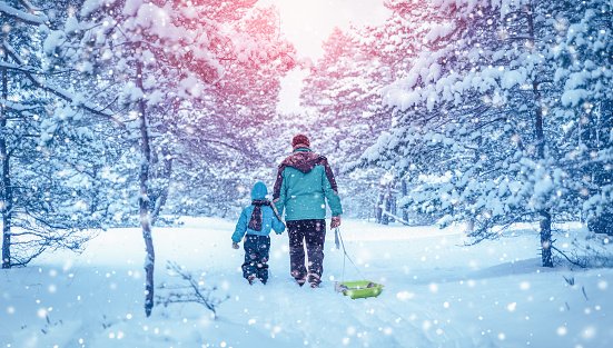 Father and his son walking in the snowy winter forest. Concept of the family relationship and vacation.
