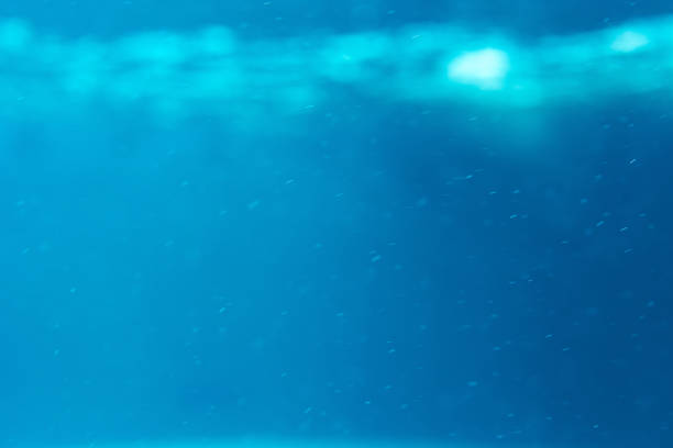 istock Summer. Texture of water surface. Underwater background. Waves effects. Blue underworld. Ocean, sea. Diving. Blue sea pool water. Bottom view. 1350625106