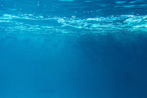 istock Summer. Texture of water surface. Underwater background. Waves effects. Blue underworld. Ocean, sea. Diving. Blue sea pool water. Bottom view. 1350626178