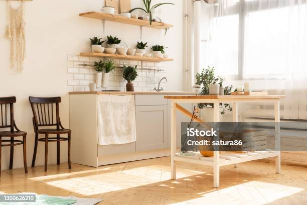 Stylish Scandinavian Open Space With Kitchen Accessories And Plants Stock Photo - Download Image Now