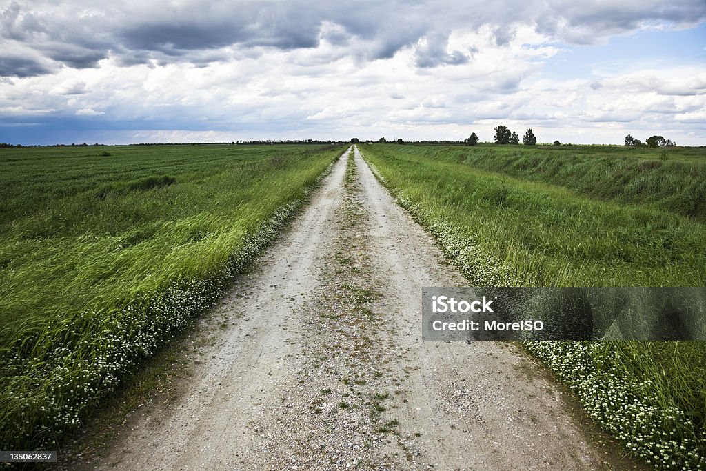 Strada di campagna con cielo minaccioso, Italia - Foto stock royalty-free di Diritto