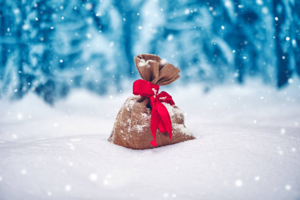 istock Present bag lying on the fresh snow in winter in forest 1350628549