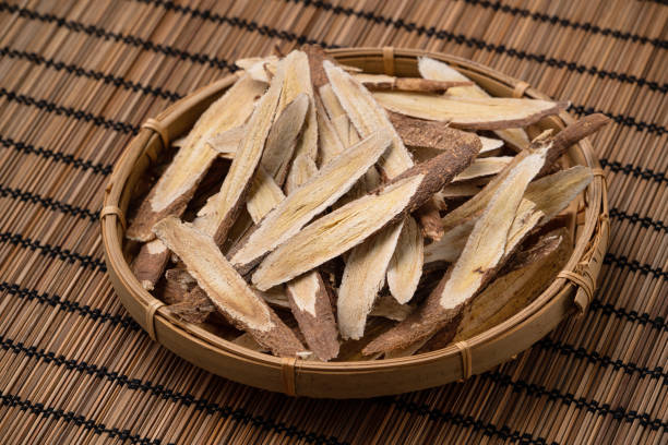 medicina herbal china raíz de astrágalo. - astragalus chinese medicine root plants fotografías e imágenes de stock