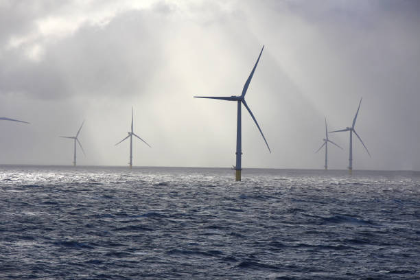istock Sustainable Green Energy 1350631091