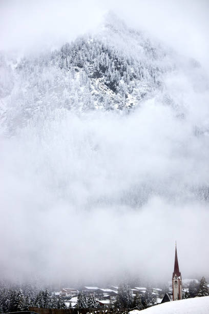 istock og and mist in a large forest with pine trees 1350633068