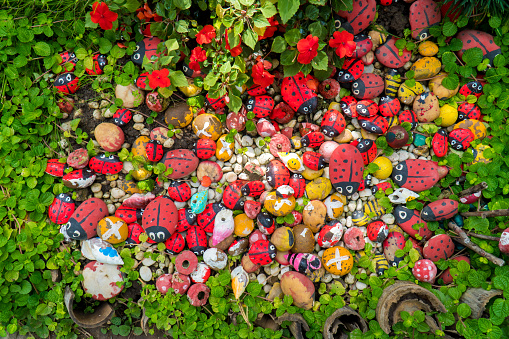 Stone painted colorful ladybug insect animal shape style decoration in garden background. Pebbles painting ladybird decorative in ornamental garden